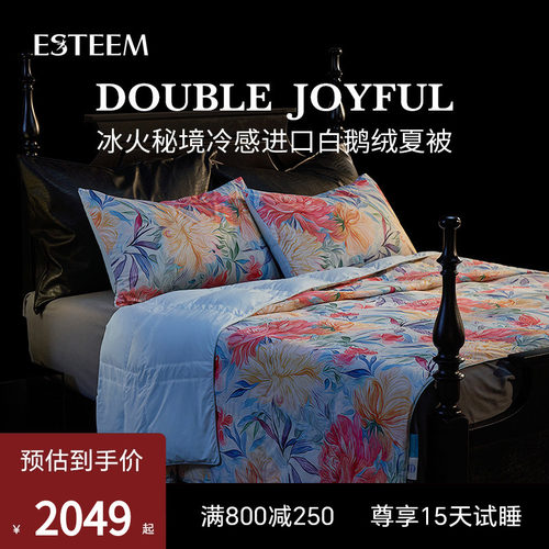 ESTEEM匈牙利白鹅绒可水洗夏凉被