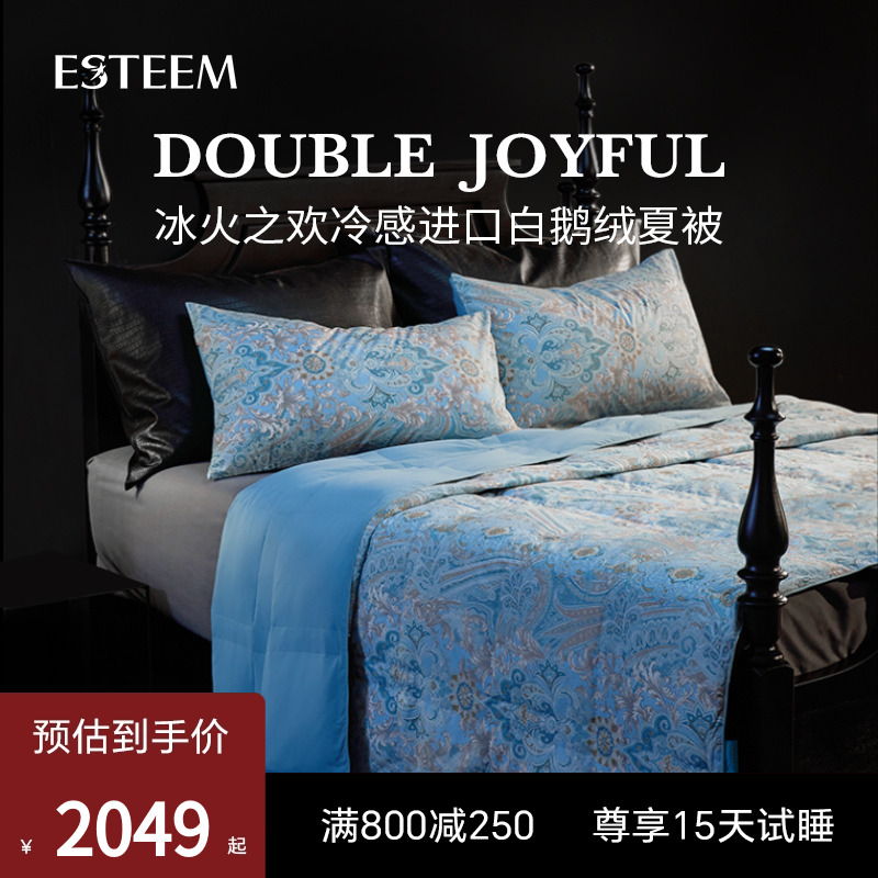ESTEEM匈牙利白鹅绒可水洗夏凉被