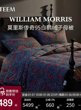 ESTEEM/宜庭莫里斯传奇匈牙利95白进口可水洗鹅绒被【专柜同款】
