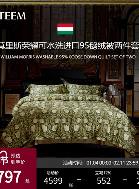 ESTEEM/宜庭莫里斯荣耀可水洗95鹅绒子母被二合一被【专柜同款】