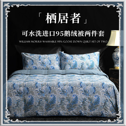 ESTEEM匈牙利白鹅绒可水洗夏凉被