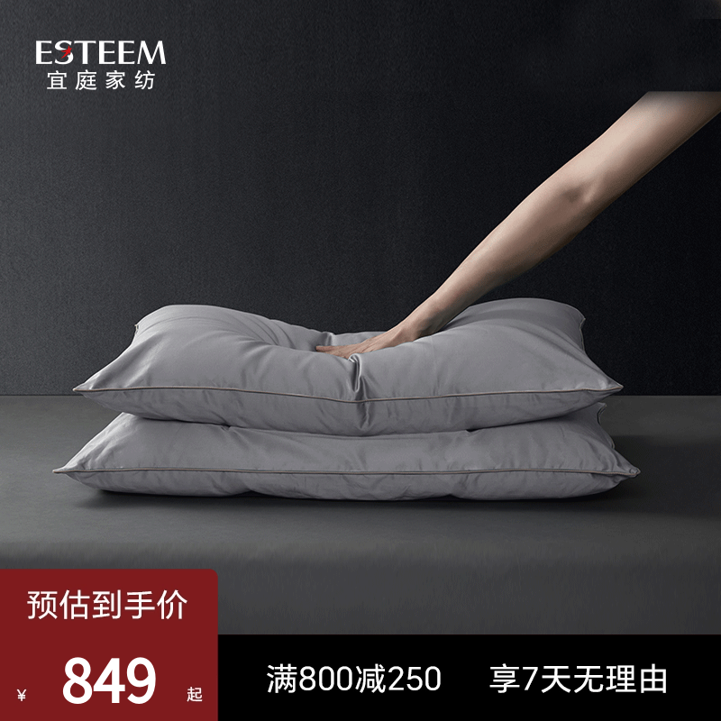 ESTEEM成人呵护枕鹅绒丝
