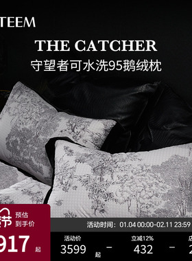 ESTEEM/宜庭守望者进口95白鹅绒枕头可水洗羽绒枕芯【专柜同款】