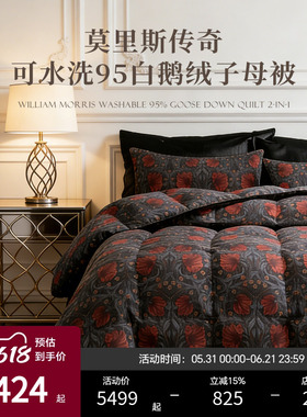ESTEEM/宜庭莫里斯传奇匈牙利可水洗95鹅绒被子母被【专柜同款】
