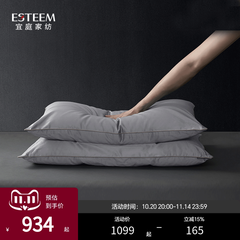 ESTEEM成人呵护枕鹅绒丝