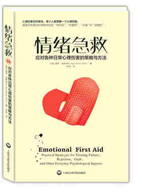 情绪急救：应对各种日常心理伤害的策略与方法 情绪心理 上海社会科学院出版社