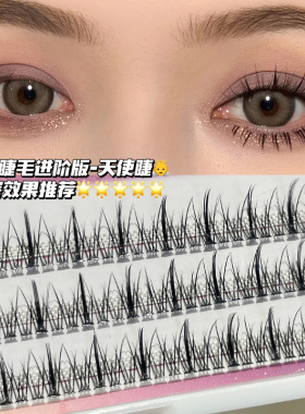艺研奈天使睫朵毛鱼尾夹心