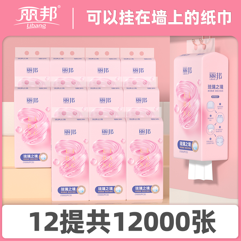 丽邦悬挂式抽纸1000张