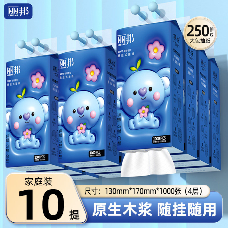 丽邦悬挂式纸大包纸巾纸抽图片