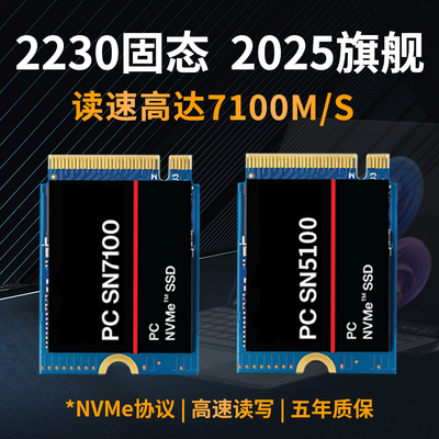 SSDSN71002280固态硬盘