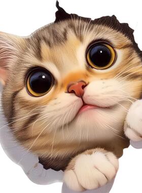 可爱创意3D小猫贴纸自带胶