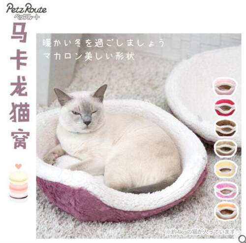 马卡龙猫窝派滋露短毛绒猫