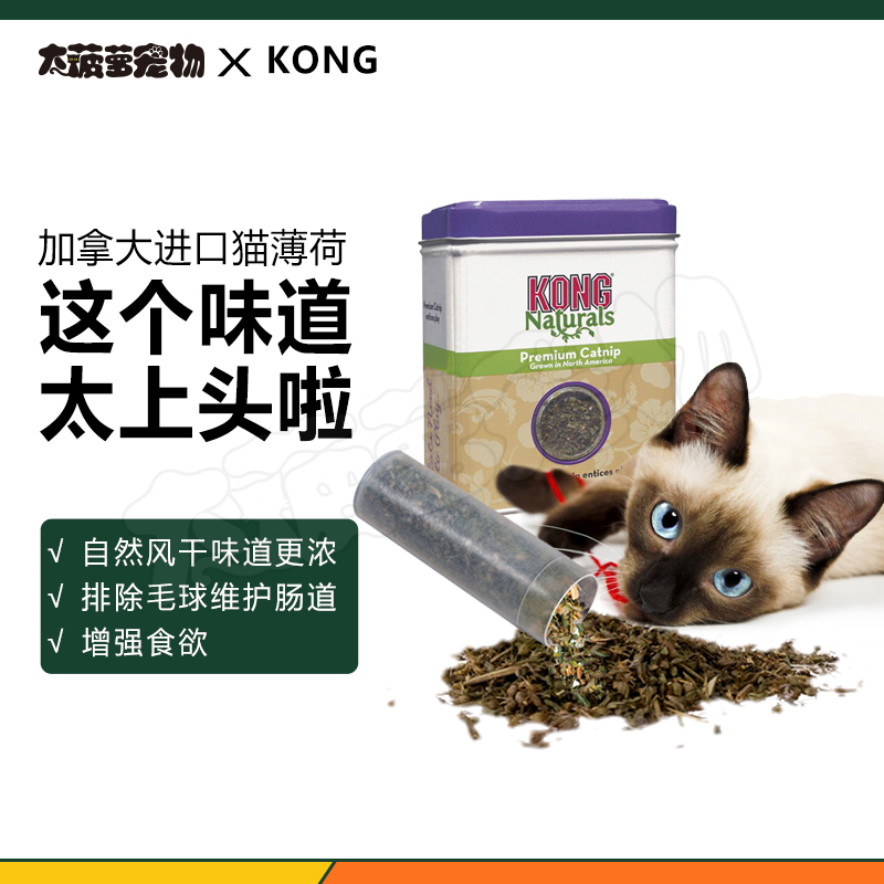 加拿大进口！美国Kong猫薄荷猫玩具减轻压力舒缓情绪去毛球