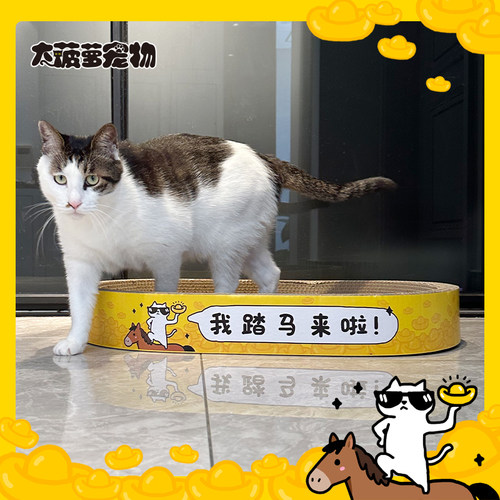 我踏马来啦！新春马年猫抓板猫窝