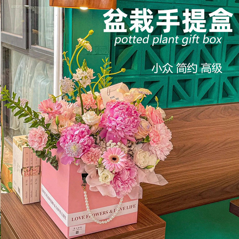 盆栽礼盒小众高级感花店咖啡店盆栽装饰蝴蝶兰绣球花束盆栽手提盒