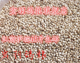 有机带壳白高粱米 未脱皮颗粒饱满 鸽用杂粮1斤(只发江浙沪皖）