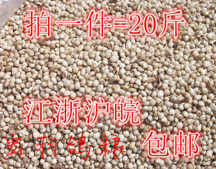 优质带壳白高粱鹦鹉鸟食仓鼠零食/鸽饲料 赛鸽观赏鸽粮20斤装