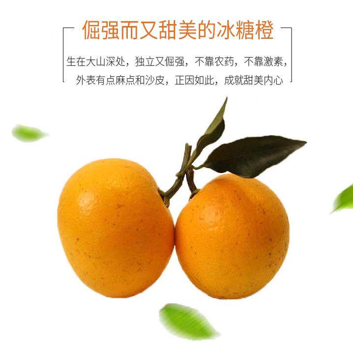麻阳锦蜜冰糖橙湖南麻阳超甜新鲜水果湖南甜橙柑橘橙子纯甜无酸果