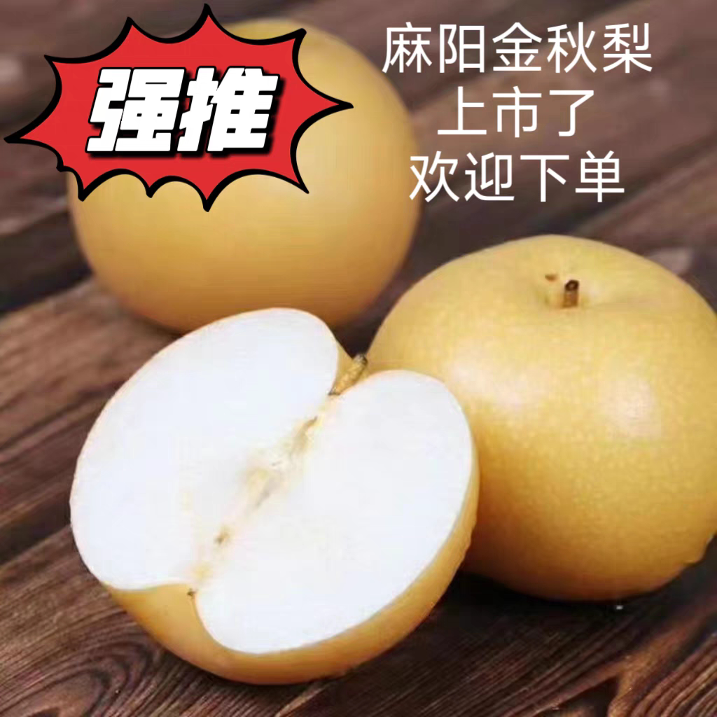 正宗湖南怀化麻阳高山金秋梨现摘现发秋月梨孕妇小孩脆甜梨包邮..