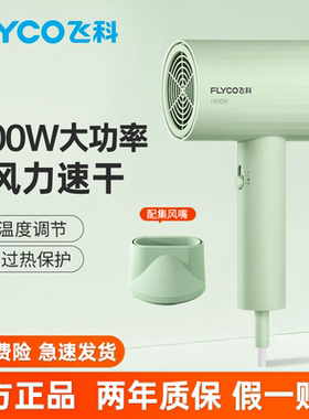 飞科电吹风机家用大功率大风力冷热恒温速干学生宿舍用吹风筒正品
