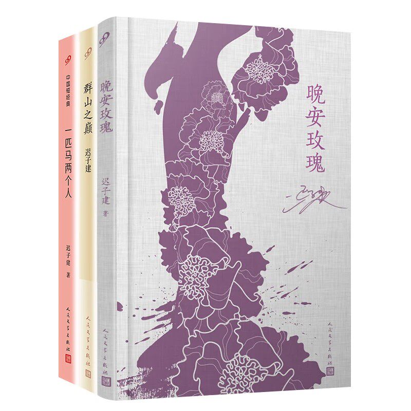 迟子建作品集套装共3册