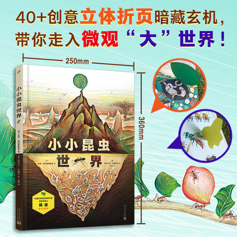 正版书籍 小小昆虫世界 精装手工书 科普百科十佳绘本 创意立体折页设计 中国科学院动物研究所陈睿博士审校推荐 人民文学出版社