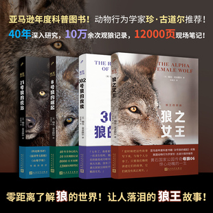 正版书籍 狼王四部曲1234 8号狼的崛起21号狼的统治302号狼的救赎狼之女王 瑞克麦金提尔著 外国纪实文学 人民文学出版社