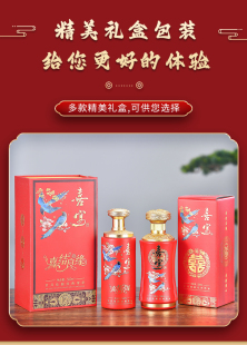 全套定制 酒瓶高档婚庆喜宴空瓶一斤密封玻璃自酿高端酒瓶酒盒包装