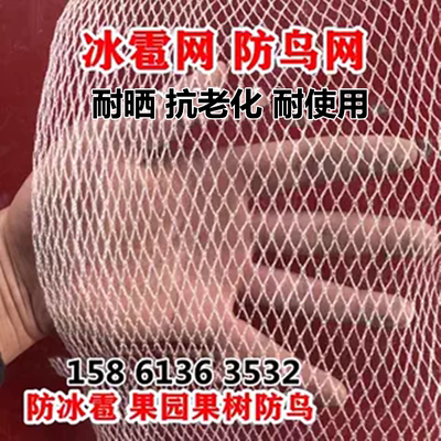 防雹网果园防鸟网园艺防冰雹网