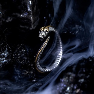 欧美风复古世界衔尾蛇戒指蛟龙蛇形开口指环男女嘻哈朋克生肖手饰