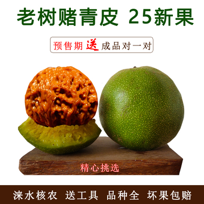 文玩核桃赌青皮狮子头官帽