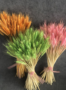 开业大麦金黄色麦穗彩色干花花束田园客厅婚庆装饰摆件拍摄道具
