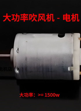 385电机 小型直流电机 电吹风电机 素士飞科DC24V电机 强磁高转速