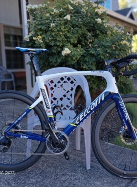 CECCOTTI DC027 全内线碟刹公路车 碳纤维车架 非整车价