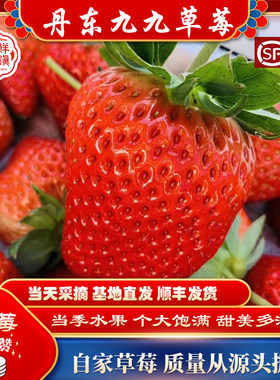 丹东草莓99特大草莓红颜九九新鲜大草莓马岗大草莓新鲜孕妇水果