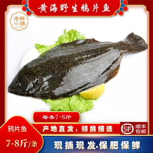 大连新鲜黄海生鲜8斤鸦片鱼