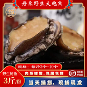 丹东大鲍鱼特产海鲜鲍鱼新鲜小岛海捕鲍鱼鲜活鲍鱼活鲜顺丰 包邮