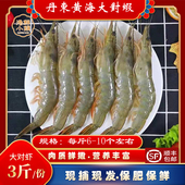 丹东特产野生大对虾长枪红尾东方虾黄海大对虾海捕对虾超大号青虾