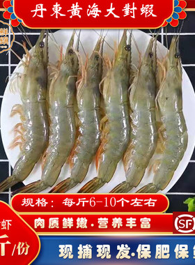 大对虾青虾对虾丹东虾野生