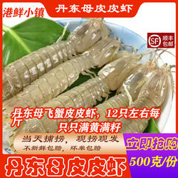 丹东全母皮皮虾鲜活超大特大虾爬子琵琶虾虾菇东港黄海皮皮虾顺丰