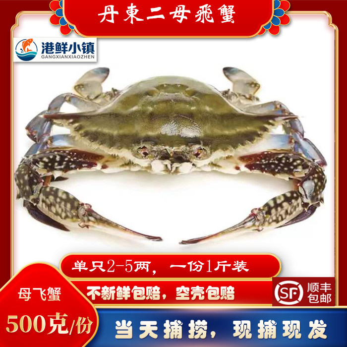 丹东梭子蟹大飞蟹特大东港