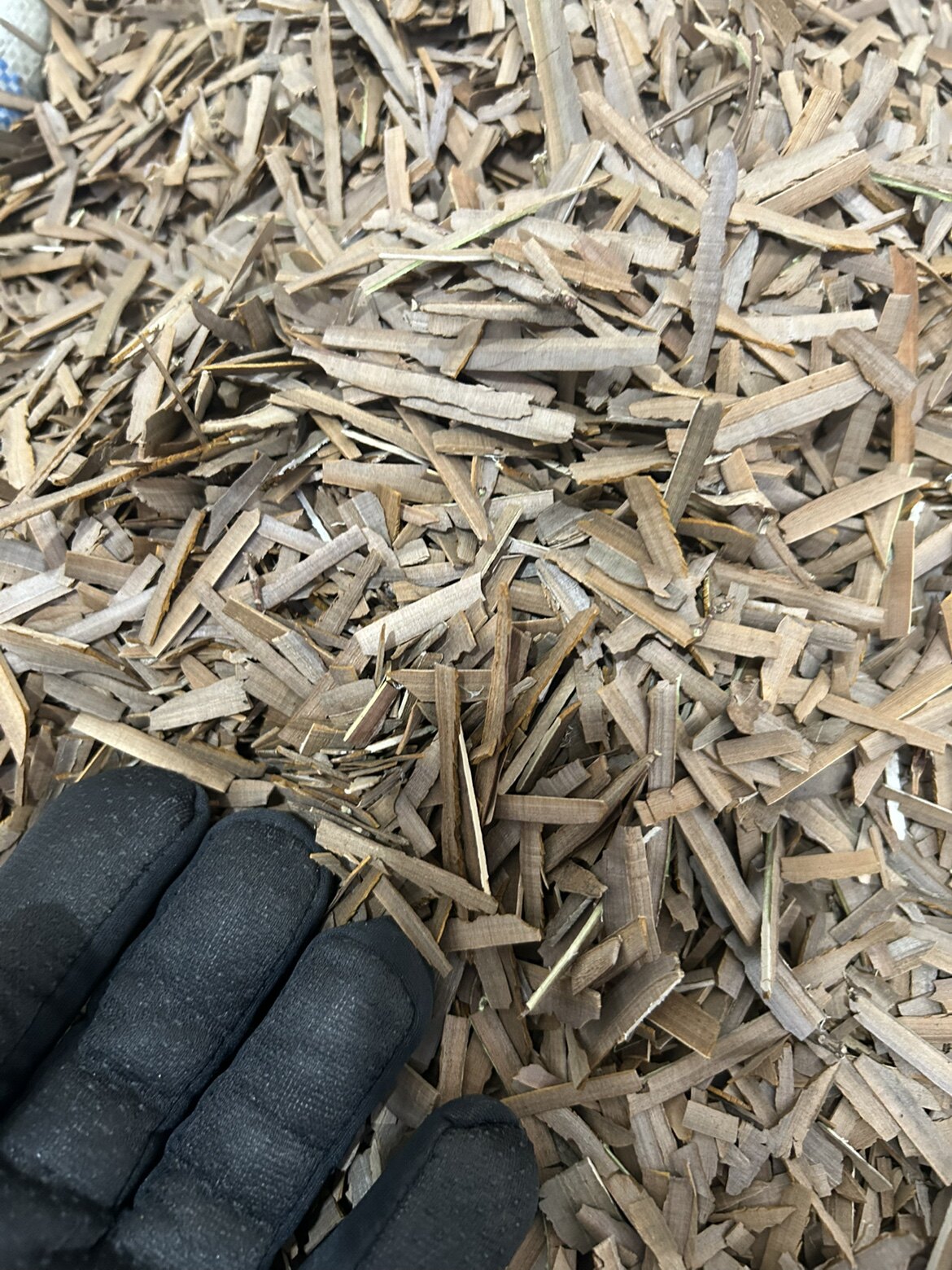 一千克 干货 鬼箭羽 选货