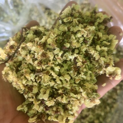 950克  干货 绿萼梅 花
