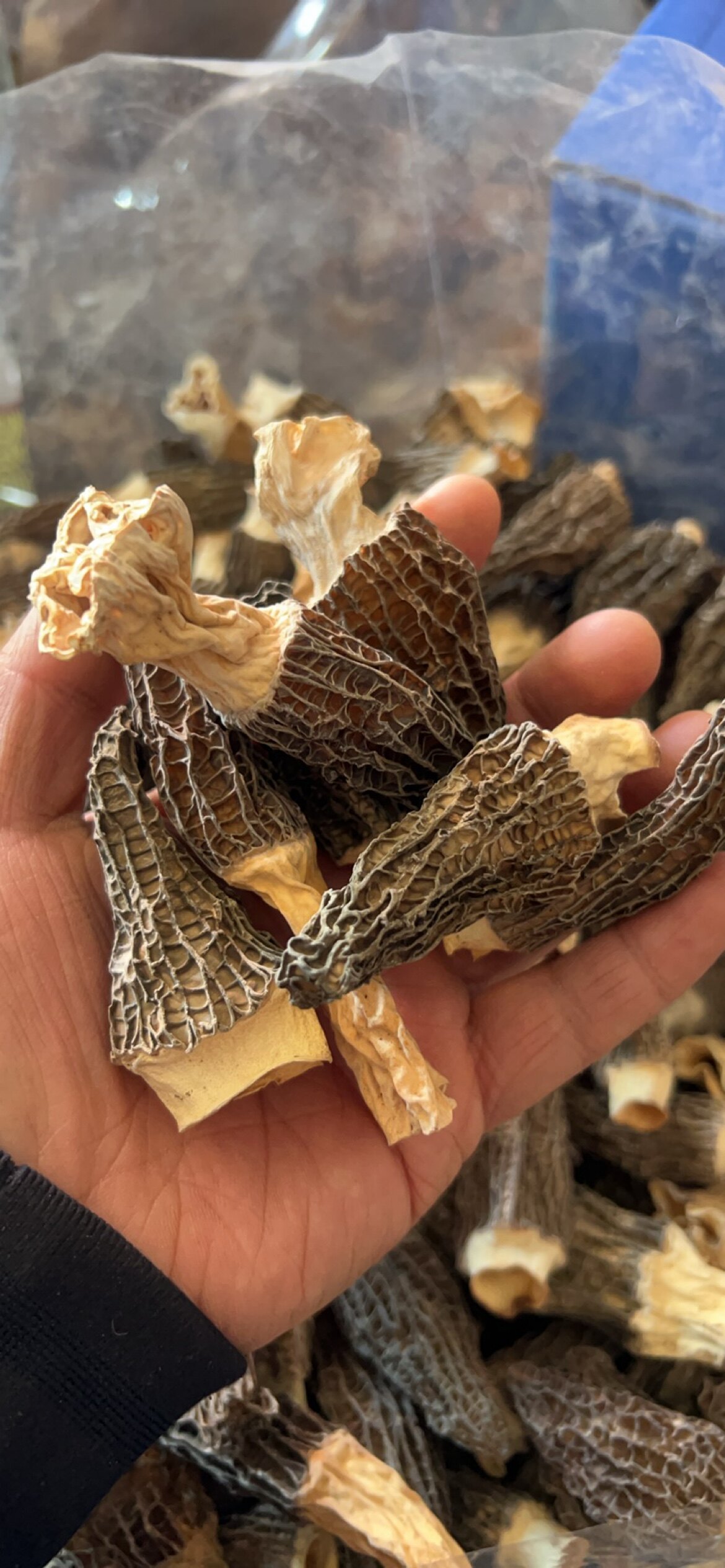 一千克 干货 羊肚菌