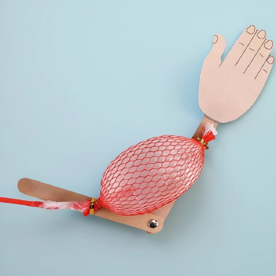 骨骼肌运动简易模型手工小制作