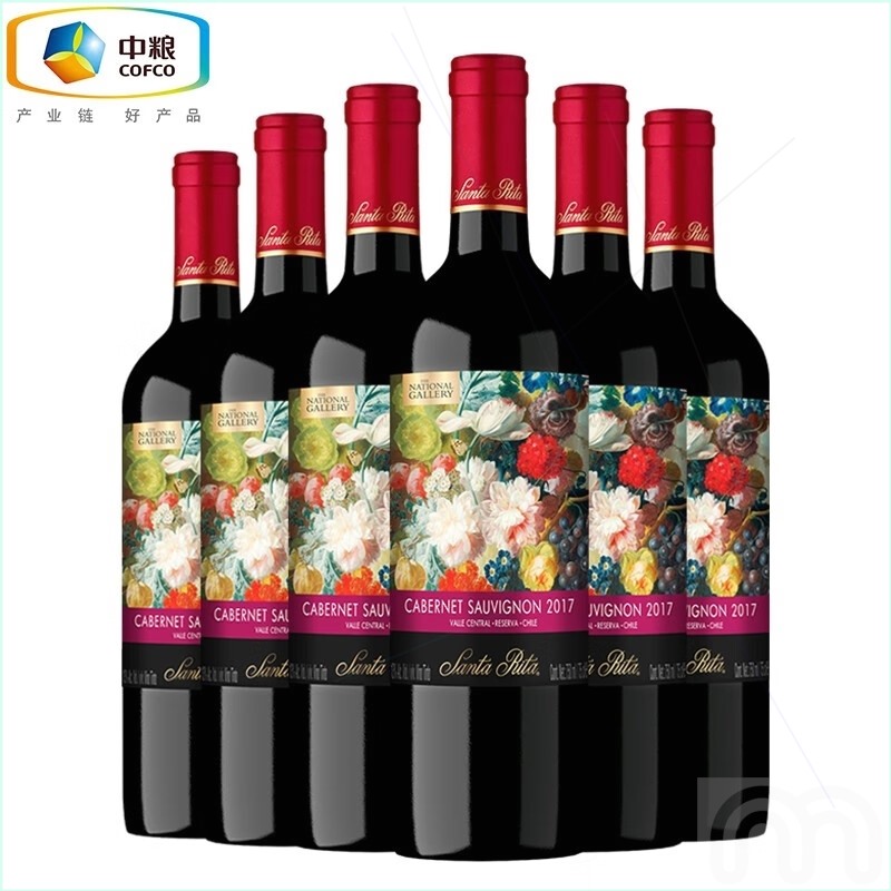 圣丽塔智利进口红酒 酒庄国家画廊干红赤霞珠珍藏750ML*6支装