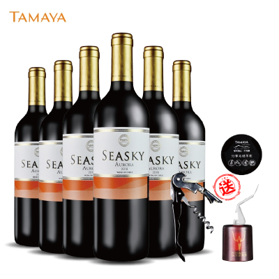 智利大玛雅tamaya西思奥罗拉干红