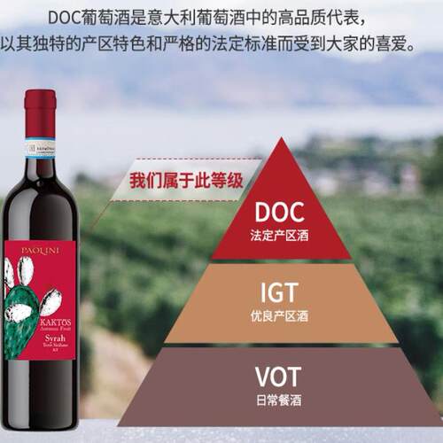 CANTINE PAOLINI仙人掌DOC级宝丽西拉干红葡萄酒 热红酒750ml*6瓶