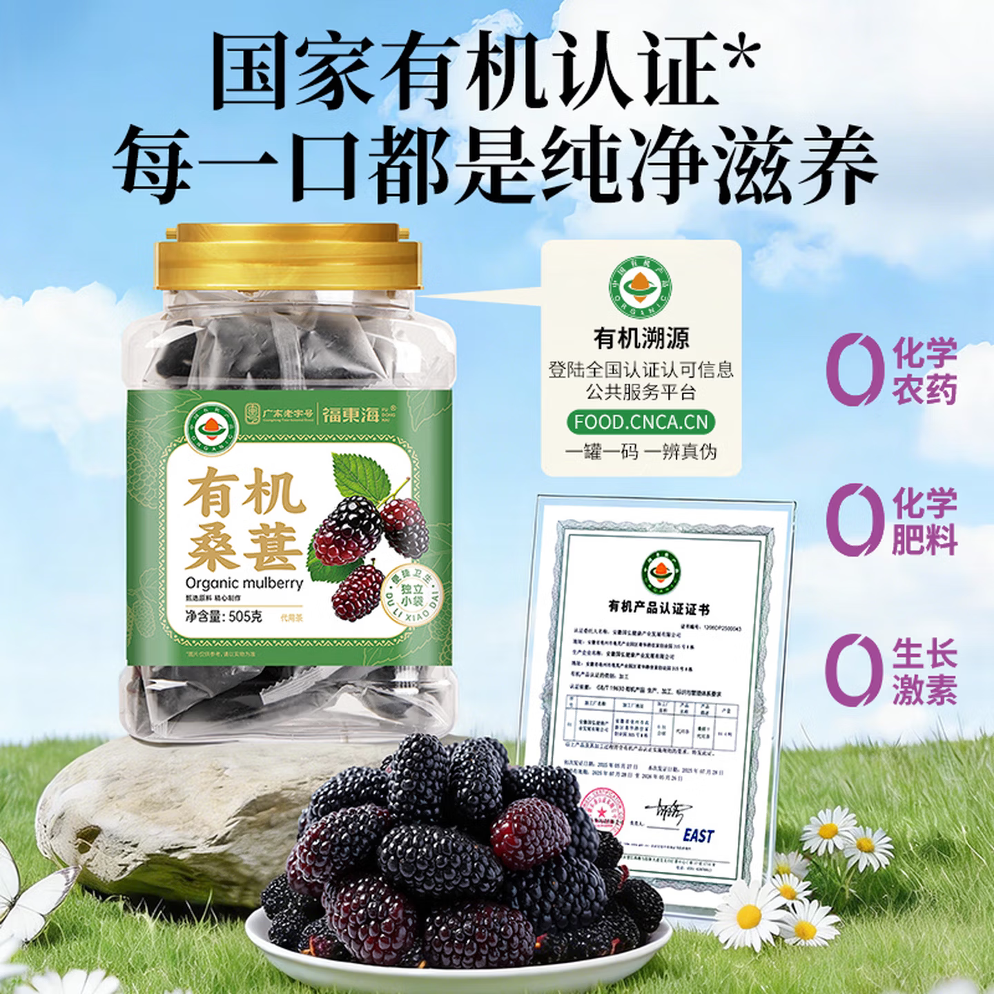 福东海10A特大果有机桑葚果干505g独立小袋桑椹无沙即食免洗0添加