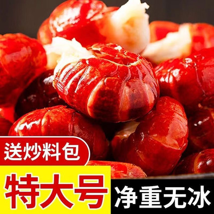 龙虾尾特大冷冻无冰新鲜小龙虾尾特级大号小龙虾球鲜活小龙虾尾